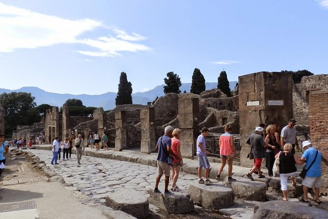 2 hours Pompeii Tour with Local Historian - Ticket Included - Price, pace, and the real value