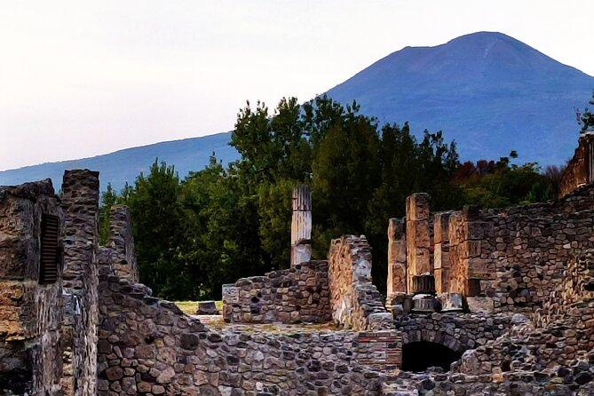 2 Hours Private Tour in Pompeii with Archaeologist - Three houses, three different views of Roman Pompeii