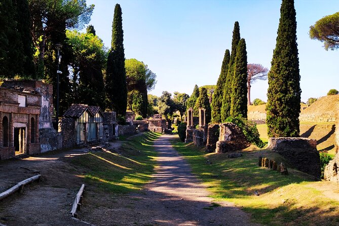 2 Hours Private Tour in Pompeii with Archaeologist - The Palestra Grande and Pompeii’s public life