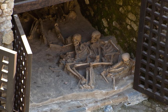 4/hours Half Day Trip Excursion to Herculaneum - Guide included - Why a private format may be worth the higher price