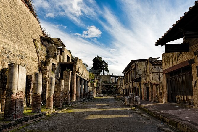 4 Hours Herculaneum Private Tour from Naples - Entering the Archaeological Park of Herculaneum