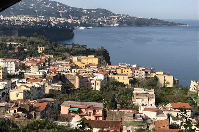 Amalfi Coast Tour Full Day 8 Hours from Naples or Sorrento - Key points to know before booking