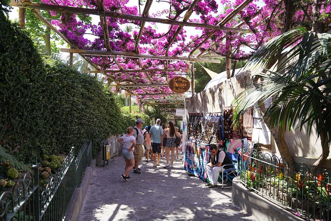 Amalfi Coast Tour: Positano, Amalfi & Ravello from Naples - Walking, weather, and vehicle comfort