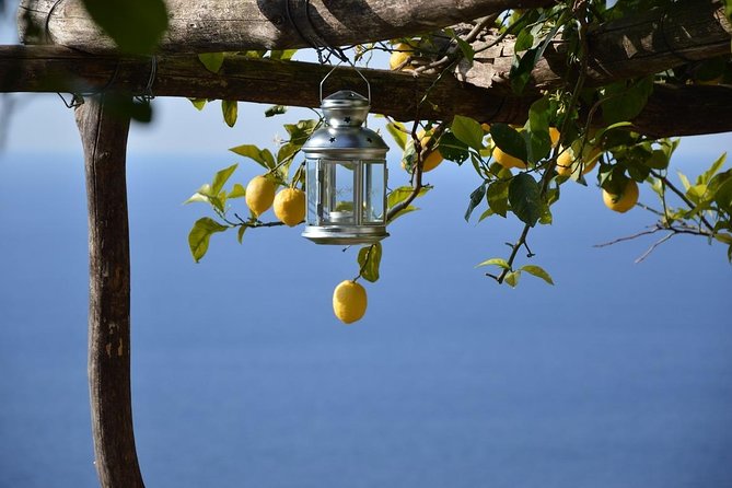 Amalfi Ravello Positano Tour - Why a private Naples to Amalfi Coast day trip works