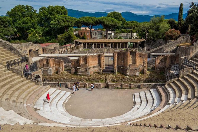 Ancient Pompeii Private Tour: Skip the Line & Kid-Friendly Option - Why a private Pompeii guide makes sense