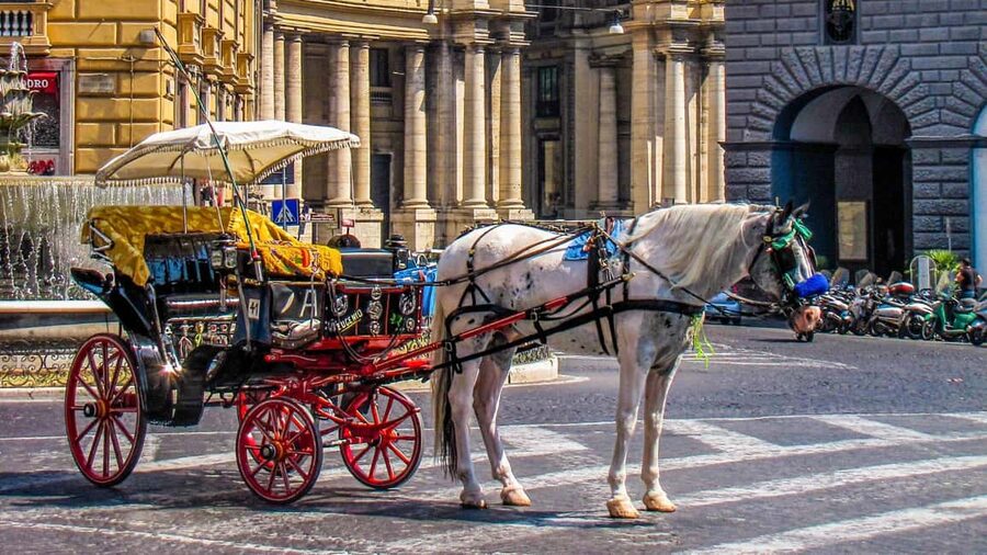 Best of Naples: Private Walking Tour with a Local - Price, flexibility, and overall value
