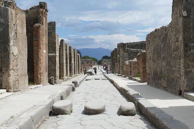 Best Pompeii Private Tour from Naples Port or Hotel Pick Up - The Forum and Temple of Apollo Set the Scene
