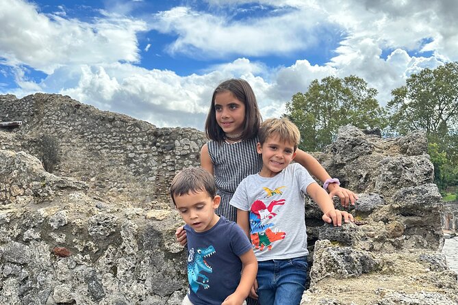 Best Pompeii Private Tour from Naples Port or Hotel Pick Up - Casa del Menandro Adds Art and Private Life
