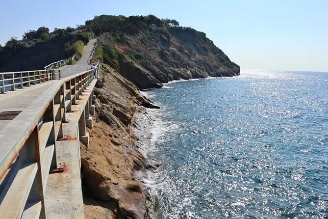 Boat Tour to Procida and Ischia, discover Private Secret Beaches - Vivara’s protected waters and rocky seabed