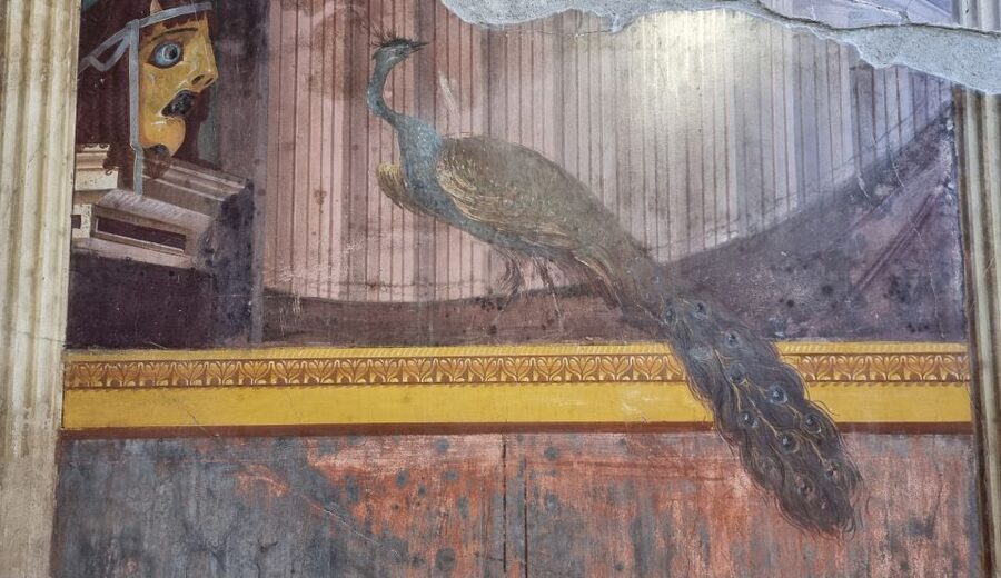 Campania: Pompei+Herculaneum+Vesuvius audio guide - Central Naples: useful context beyond the ruins