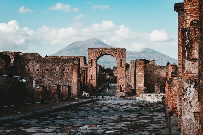 Customizable Private Tour of Herculaneum & Pompeii - Should you book it?