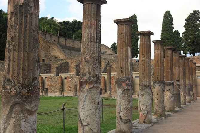 Day Trip of Pompeii, Herculaneum and Vesuvius from Naples - Should you book it?