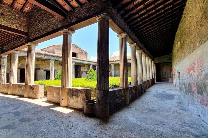 Day Trip of Pompeii, Herculaneum and Vesuvius from Naples - Mount Vesuvius and the crater walk