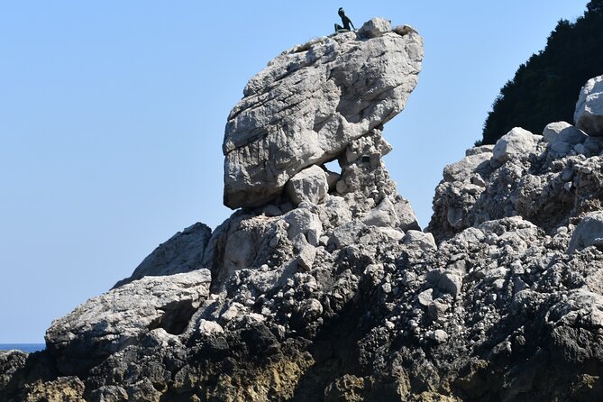 Day Trip to Capri and Blue Grotto From Naples & Sorrento - Who should book this tour?