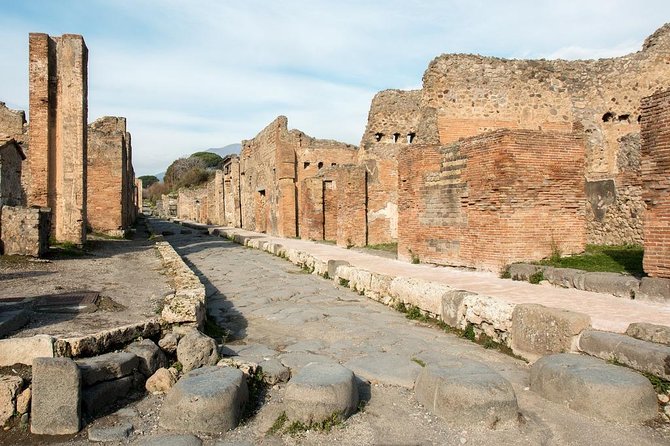 Daytrip from Naples port to Pompei, Sorrento & Positano - What the private driver adds