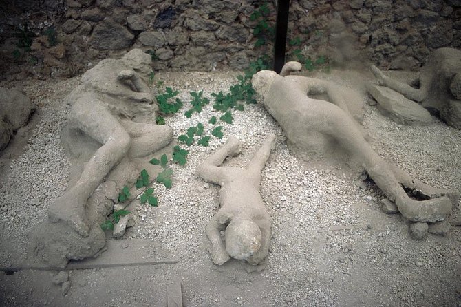 Daytrip from Naples port to Pompei, Sorrento & Positano - Who should book this day?