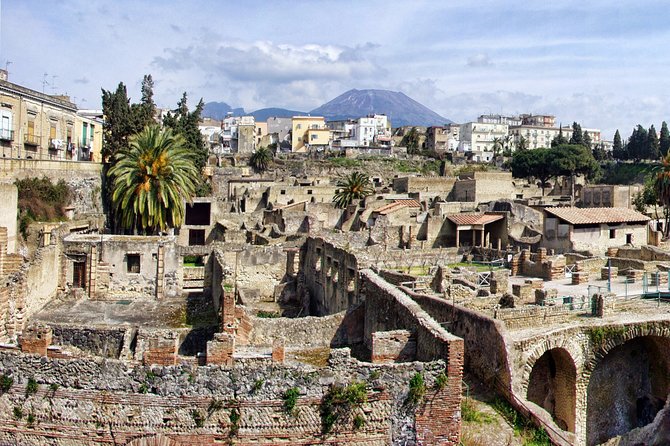 Discovering Pompeii and Herculaneum - VIP Tour with Lunch - Who will get the most from this tour