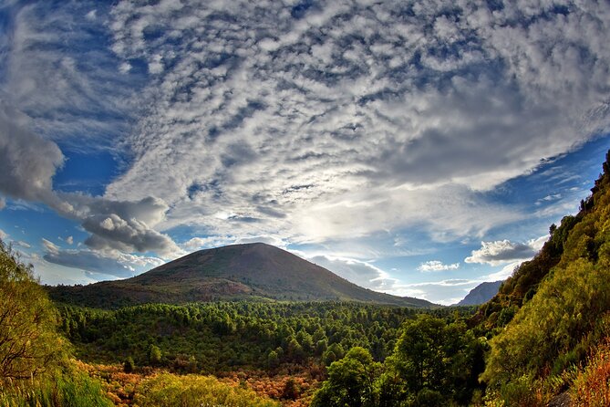 Discovering the Vesuvius - VIP tour / Small group - The Pompeii lunch stop keeps the day moving