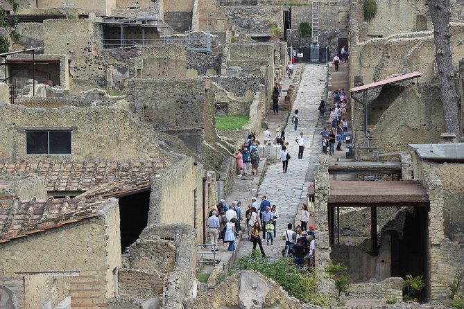 Excavations of Herculaneum. Tour guide and skip-the-line ticket - Houses, mosaics, and the parts people remember