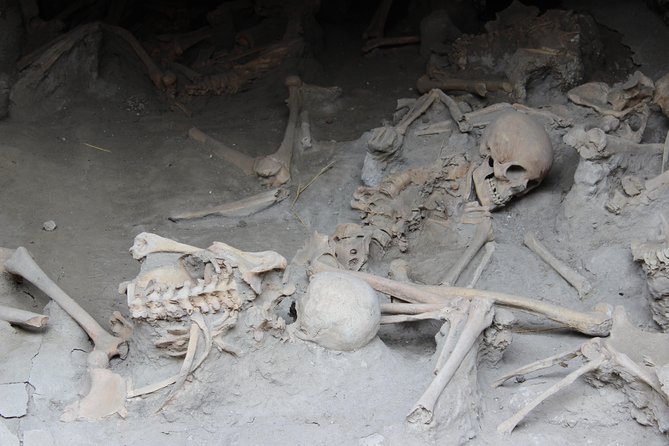 Excavations of Herculaneum. Tour guide and skip-the-line ticket - Is $81.45 a fair price?