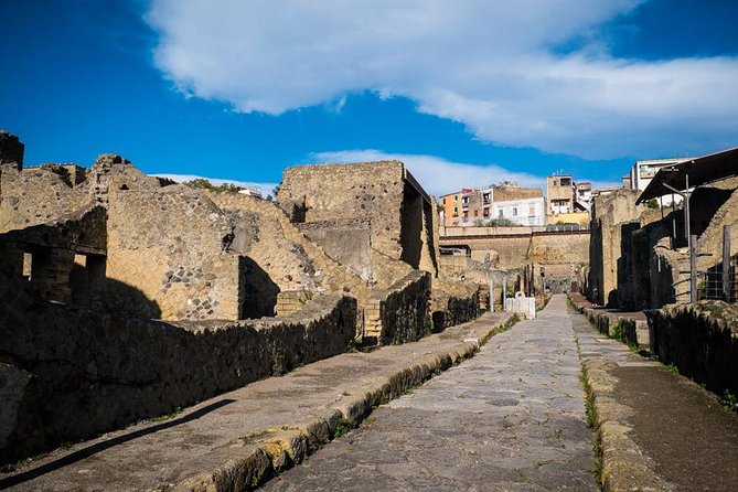 Exclusive Pompeii with Wine and Lunch on Vesuvius-Skip-the-line - Markets and baths reveal daily Roman life