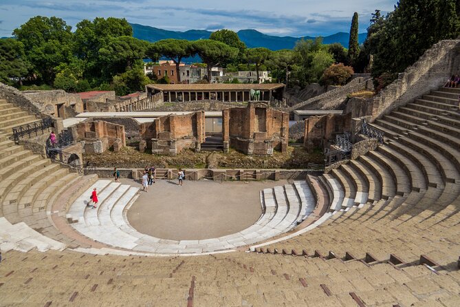 Exclusive Pompeii with Wine and Lunch on Vesuvius-Skip-the-line - The Premium Plus choice and Villa of the Mysteries