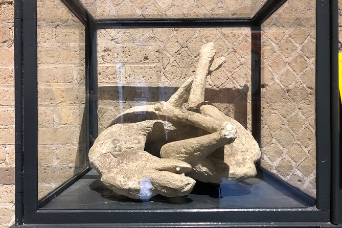 Exclusive Private Tour: Explore Pompeii and the Amalfi Coast - Who should book this day