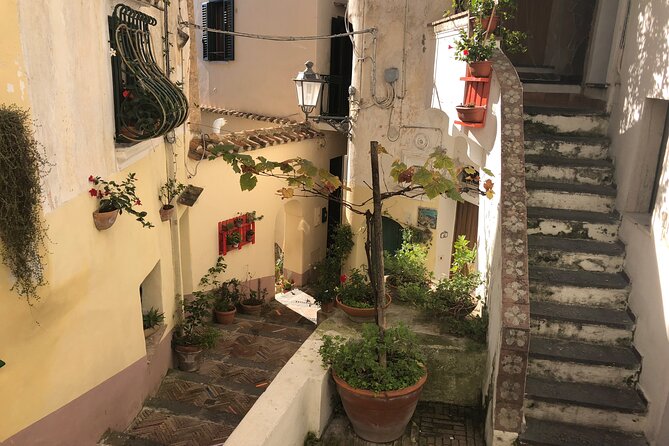 Exclusive Private Tour: Explore Pompeii and the Amalfi Coast - Should you book it?