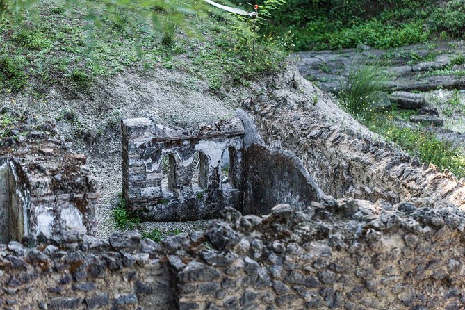 Explore Pompeii: Private Tour, Wine Tasting & Lunch - Why Pompeii and a vineyard belong together