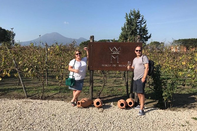 Explore Pompeii: Private Tour, Wine Tasting & Lunch - Who will enjoy this most?