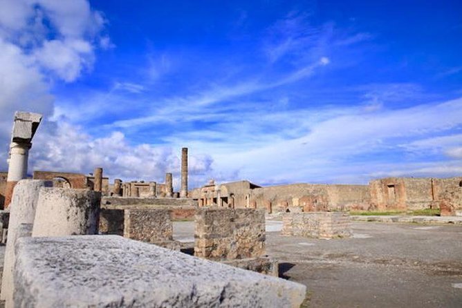 Fast Access Exclusive Private Ancient Pompeii Herculaneum & Oplontis Guided Tour - What a private guide changes