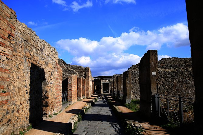 Fast Access Exclusive Private Ancient Pompeii Herculaneum & Oplontis Guided Tour - The $411.55 price and what it buys