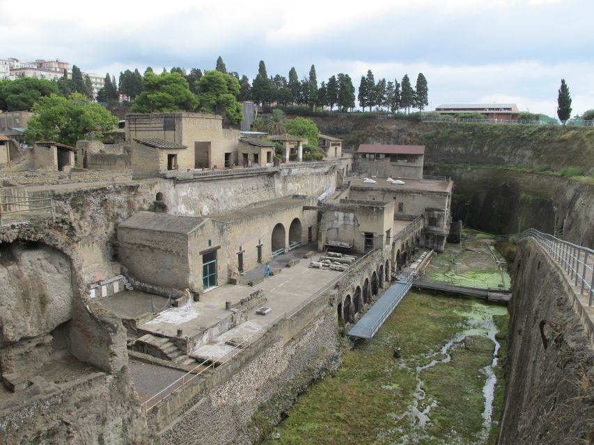 From Naples: 2-Hour Herculaneum Kid-Friendly Tour - The Black Salon and the Samnite House