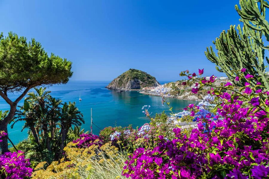 From Naples: Amalfi Coast Day Trip with Sorrento & Positano - Key points to know before booking