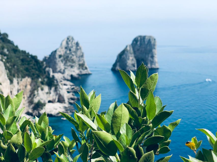 From Naples: Capri and Anacapri - Guided tour - The morning pickup and crossing to Capri