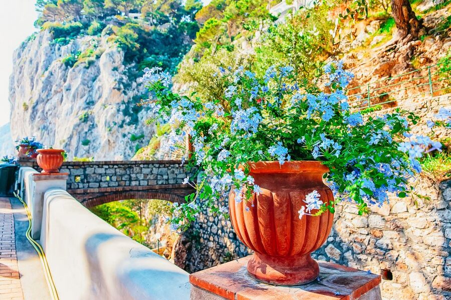 From Naples: Capri and Blue Grotto Day Tour - The Blue Grotto and its tiny entrance