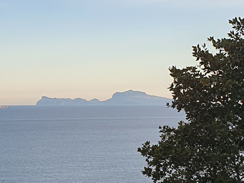 From Naples: Capri Day Trip with Lunch - Anacapri and the choice of Monte Solaro