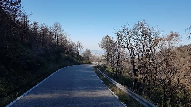 From Naples: Day Trip to Mount Vesuvius - A short lesson from the National Park guide