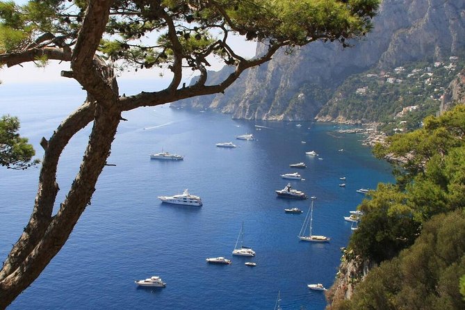 From Naples: Full-Day Capri Island and Blue Grotto Tour - The hydrofoil crossing to Marina Grande