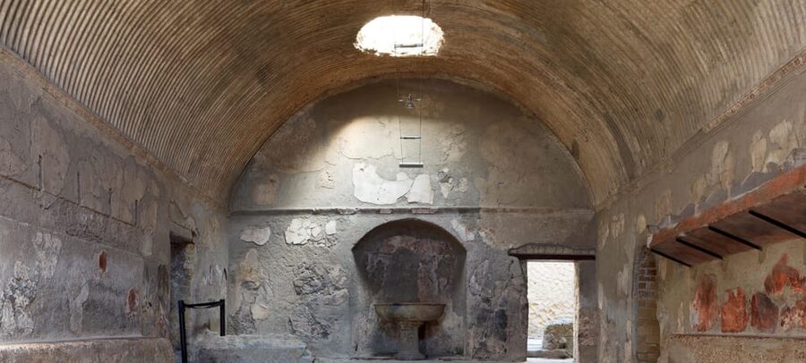 From Naples: Herculaneum and Pompeii Day Trip with Tickets - Who will get the most from this day trip