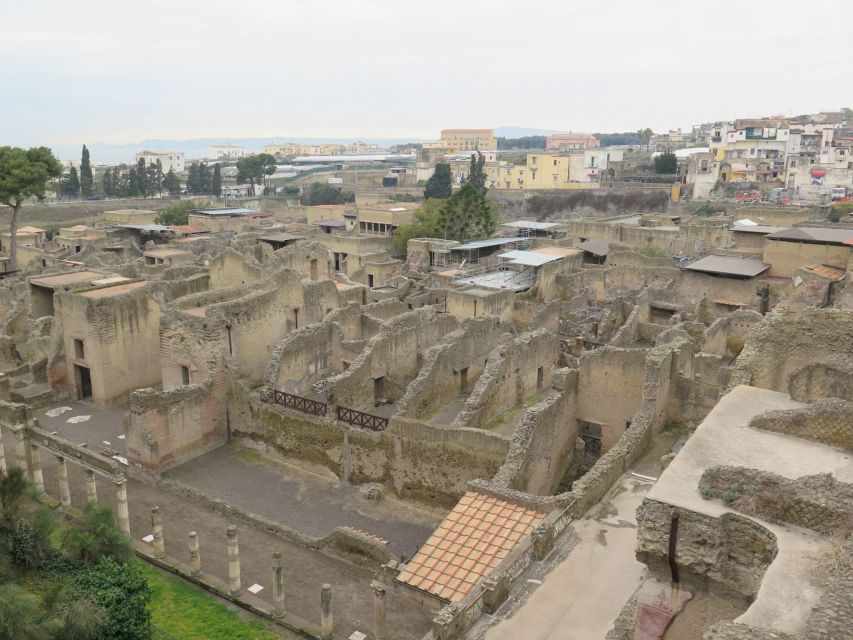 From Naples: Herculaneum, Mount Vesuvius & Pompeii Day Trip - Guides Make a Noticeable Difference