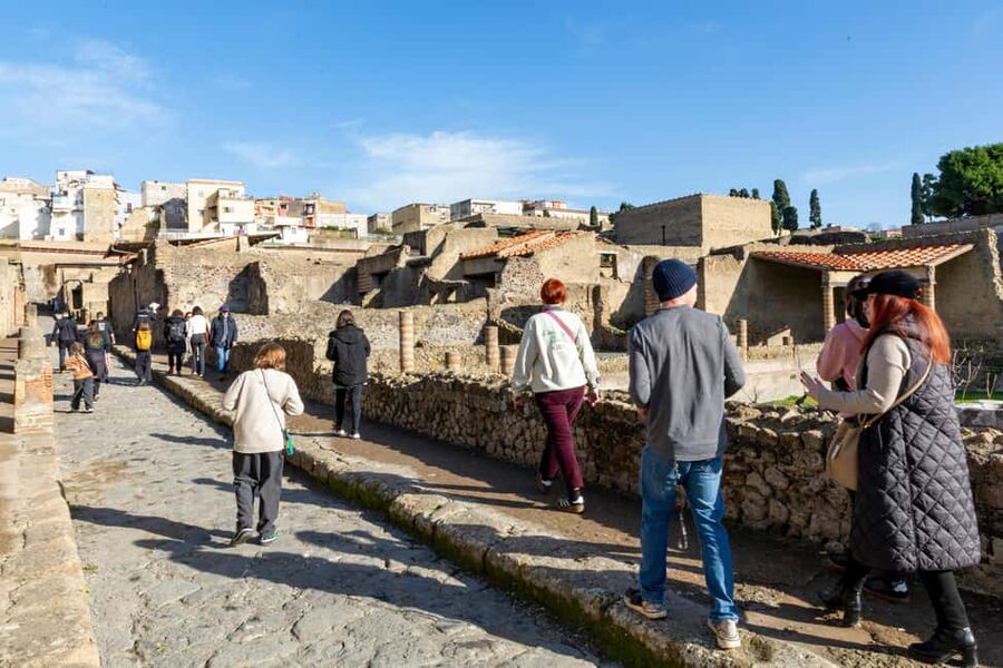 From Naples: Herculaneum Skip-the-Line Guided Tour - Key points to know before booking