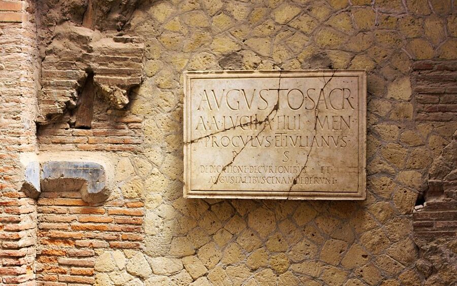 From Naples: Herculaneum Skip-the-Line Guided Tour - What the guide adds to the visit