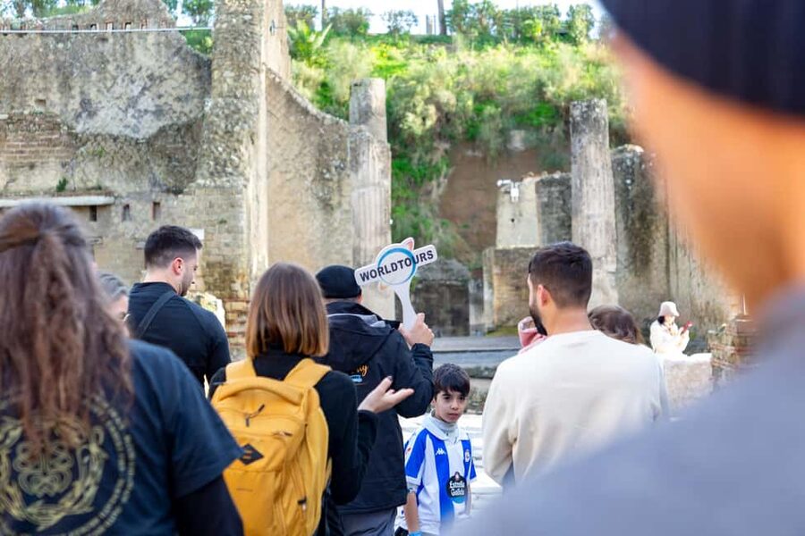 From Naples: Herculaneum Skip-the-Line Guided Tour - From a Naples pickup point to the ruins