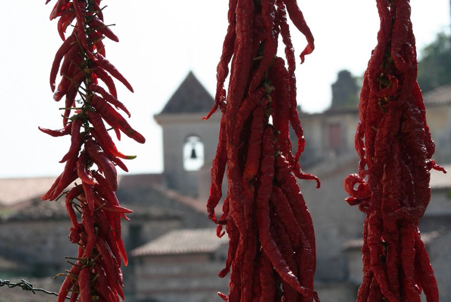 From Naples: Irpinia Wine Tour with 6 Tastings - Why Irpinia is worth the day from Naples