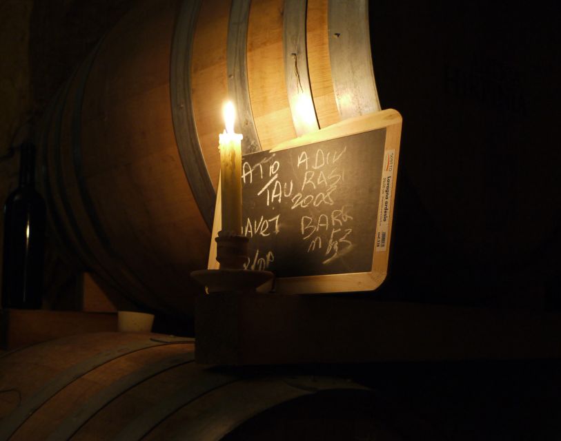 From Naples: Irpinia Wine Tour with 6 Tastings - Practical details before you go