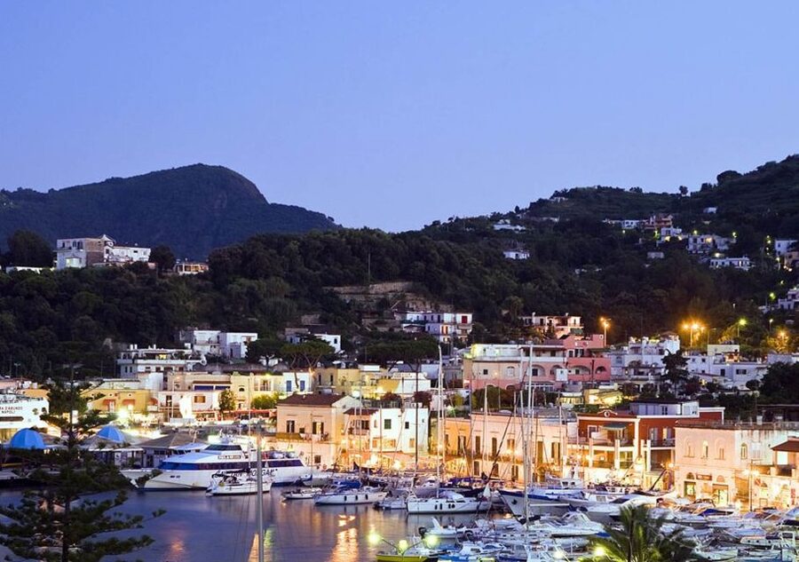 From Naples: Ischia Day Trip with Ferry Tickets and Lunch - Who will enjoy this format most