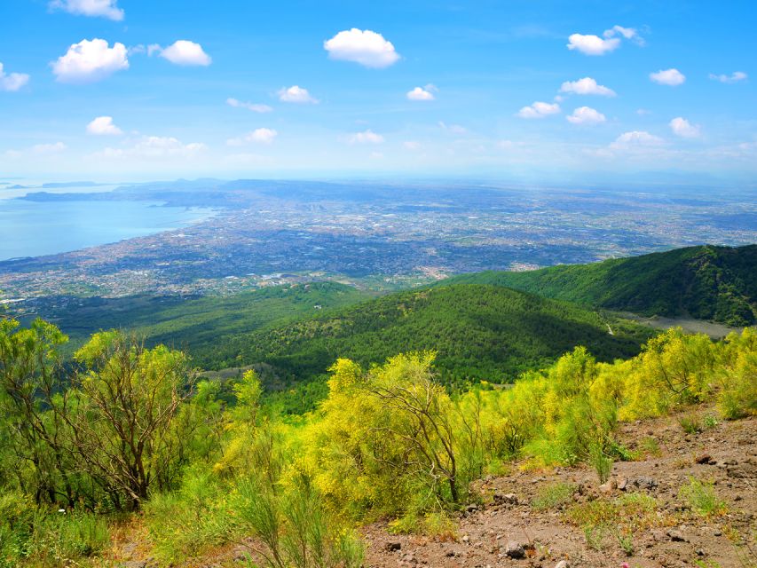 From Naples: Mount Vesuvius and Pompeii Ruins Combo Day Trip - What this Naples day trip really offers
