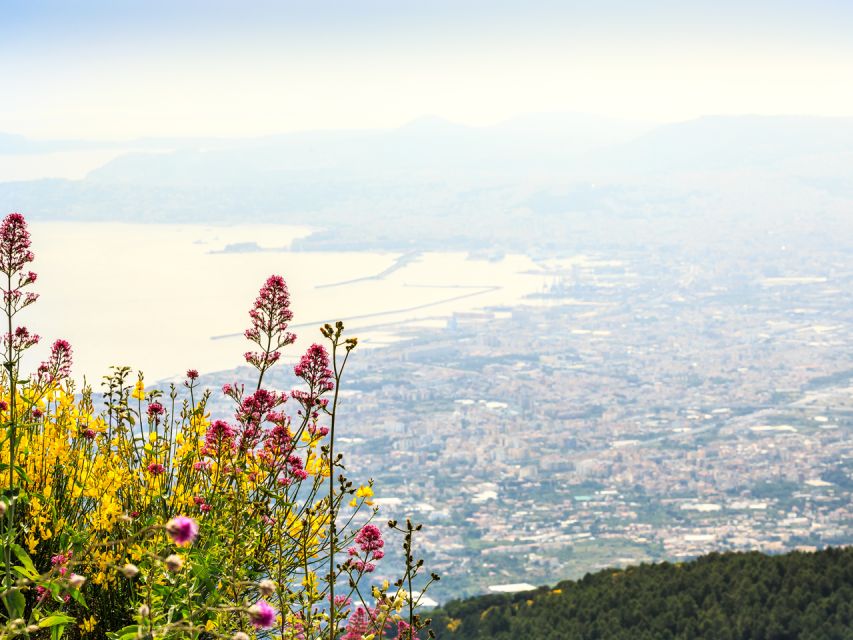 From Naples: Mount Vesuvius and Pompeii Ruins Combo Day Trip - Is the combination good value?