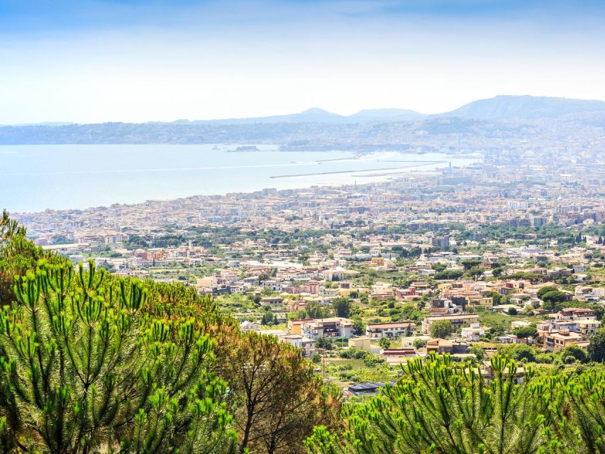 From Naples: Mount Vesuvius Transfer with Entry Tickets - The 40-minute ride up Mount Vesuvius